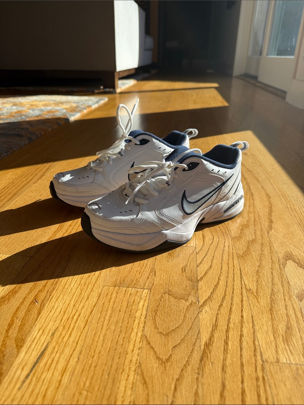 Nike Air Monarch (Size 9)